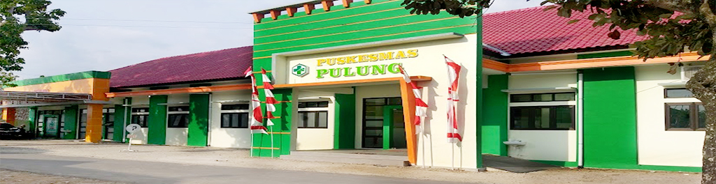 Puskesmas Pulung
